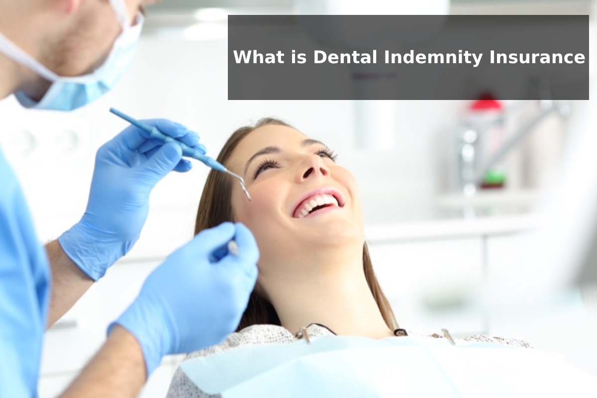 What is Dental Indemnity Insurance -2023