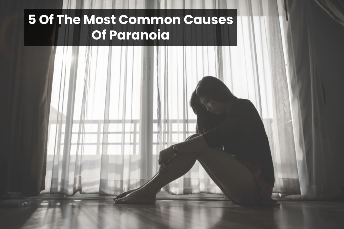 5-of-the-most-common-causes-of-paranoia-health-upp