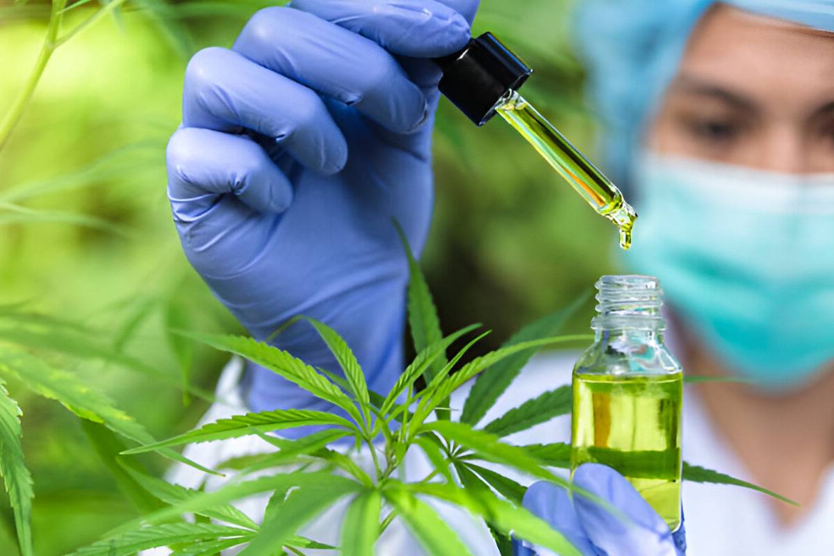 What’s the Evidence for CBD Health Benefits?